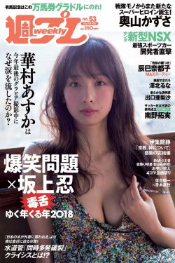 斛珠夫人电视剧免费观看